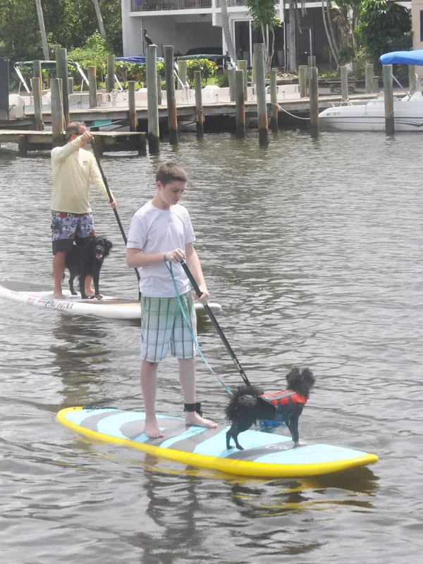 bungee cords,shallow water,dogs,dog,dog lots,triple layer,traction pad,best paddle board for dogs,inflatable sup