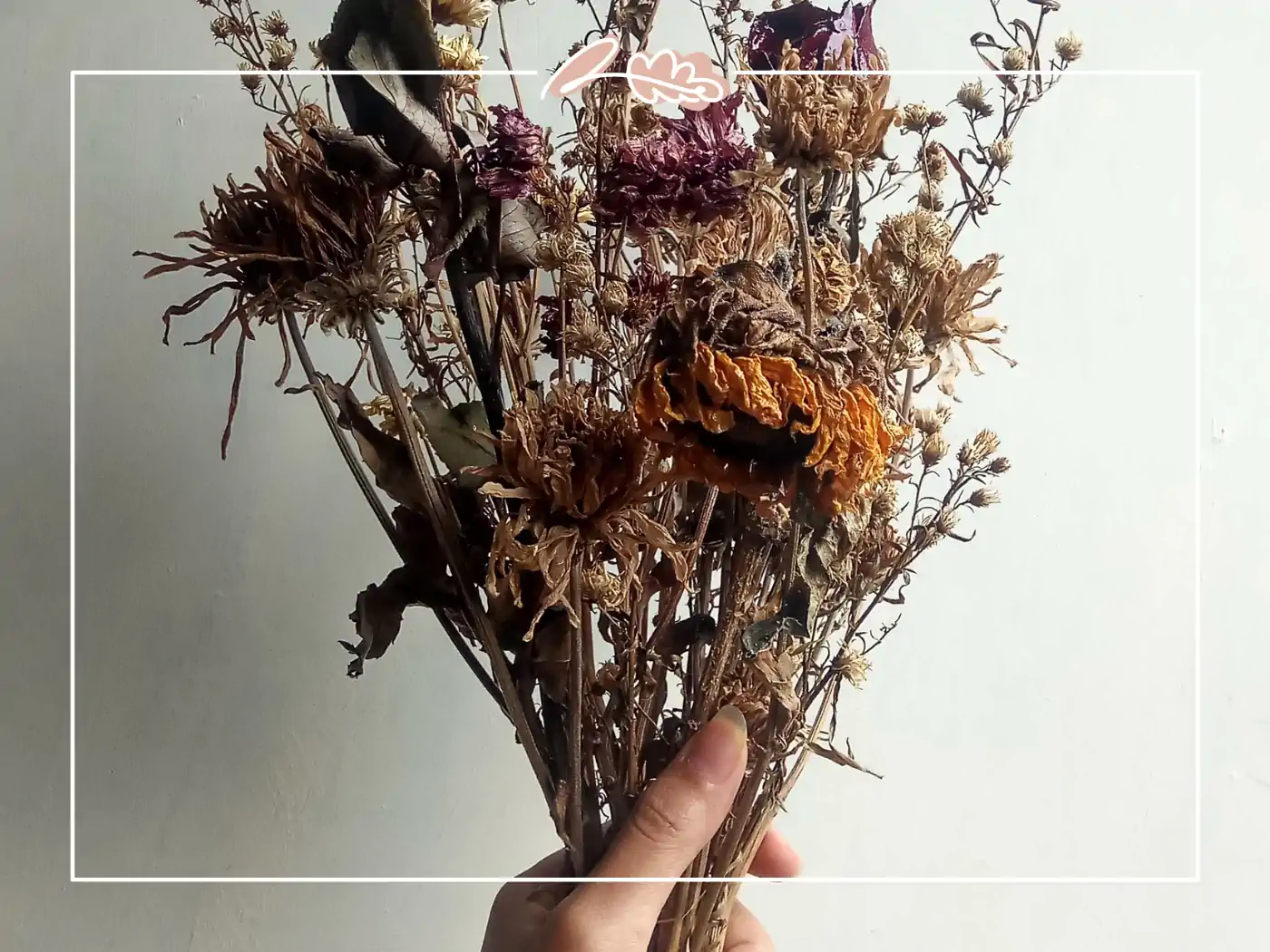 A hand holding a rustic bouquet of dried flowers in shades of brown, yellow, and purple against a white background. Fabulous Flowers and Gifts.