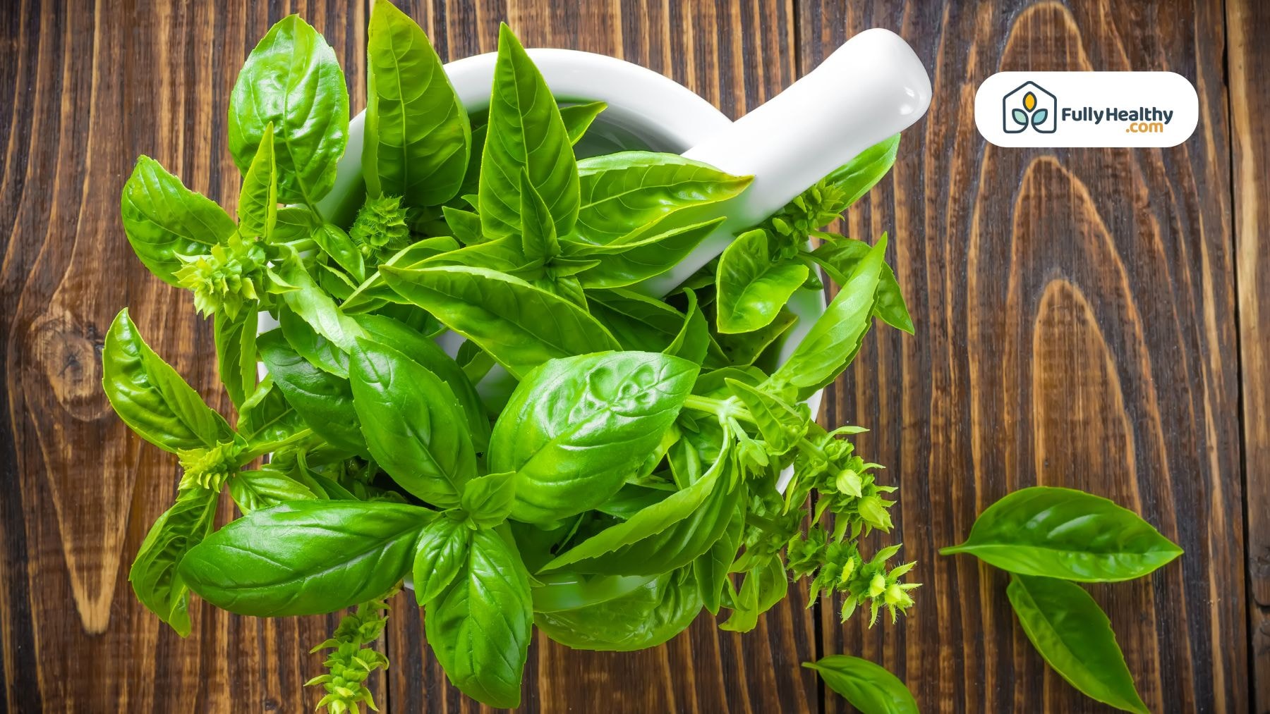 Fresh basil leaves in a white mortar bowl on wood table