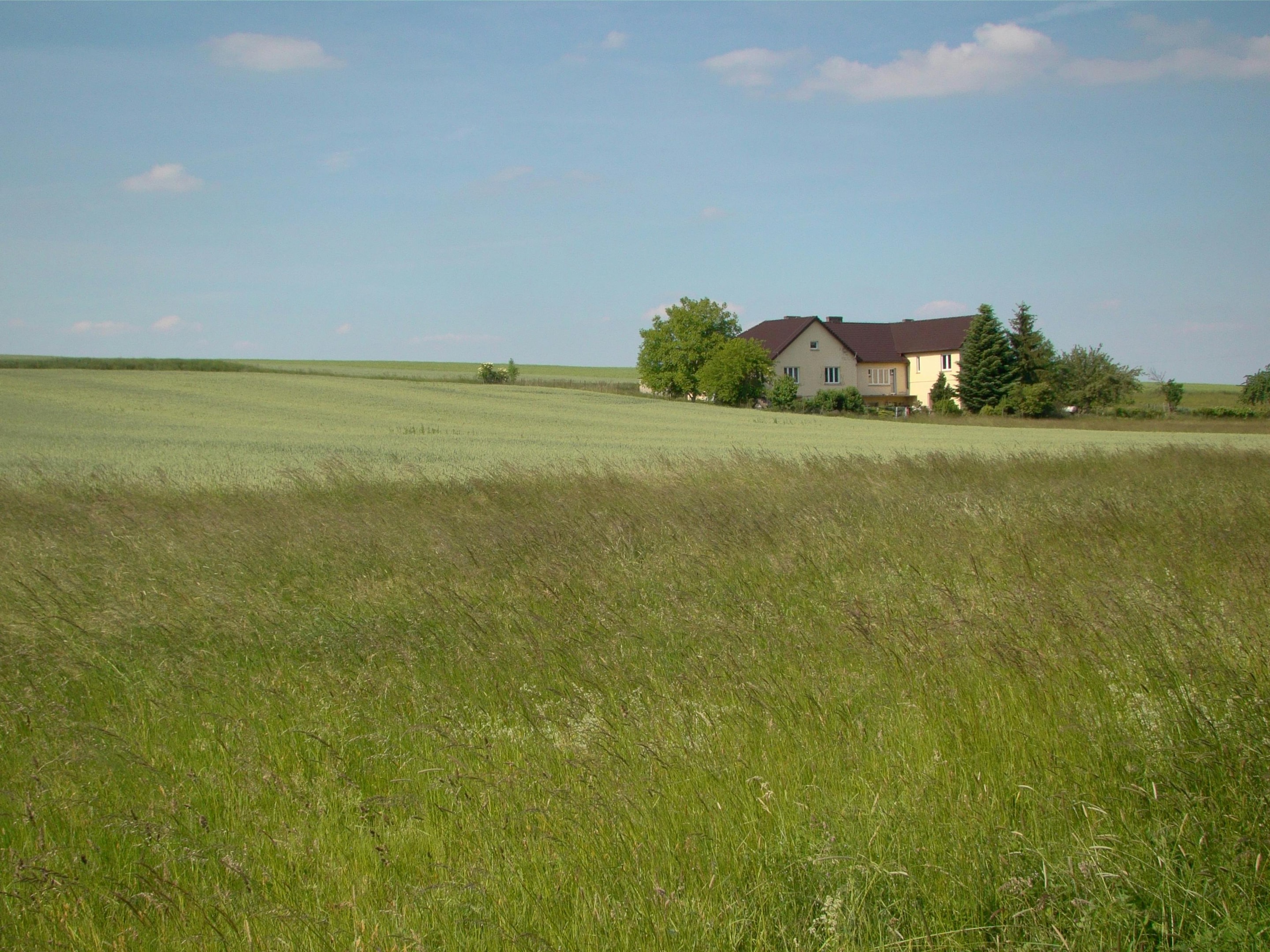 house in large field