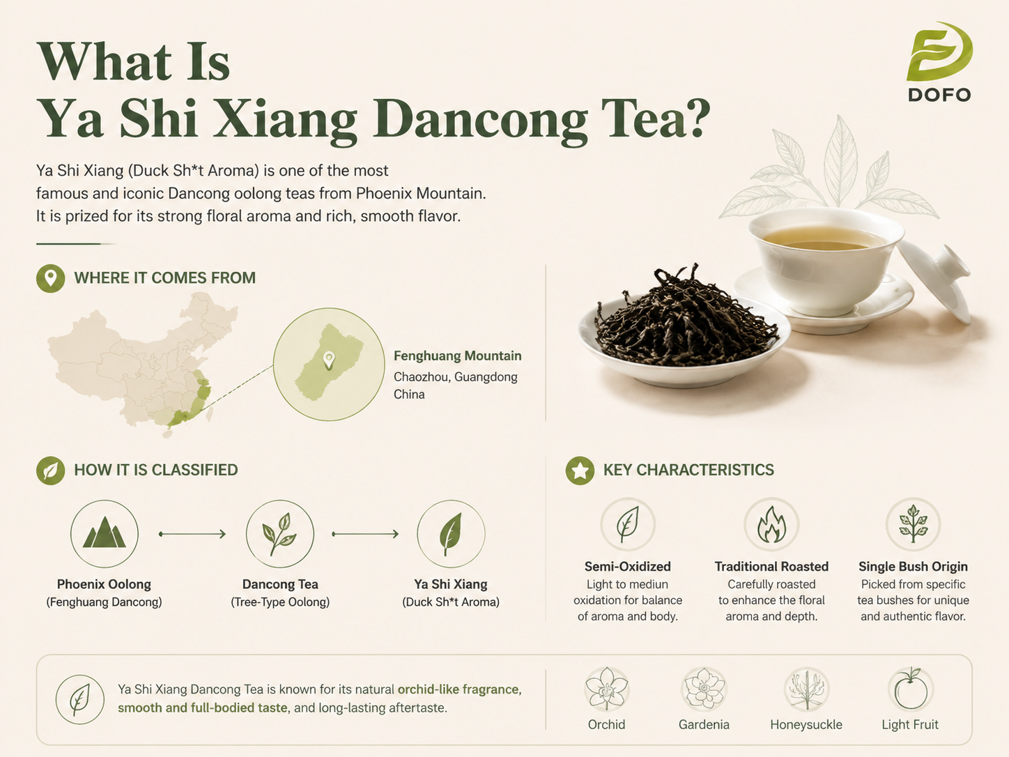 What Is Ya Shi Xiang Dancong Tea?