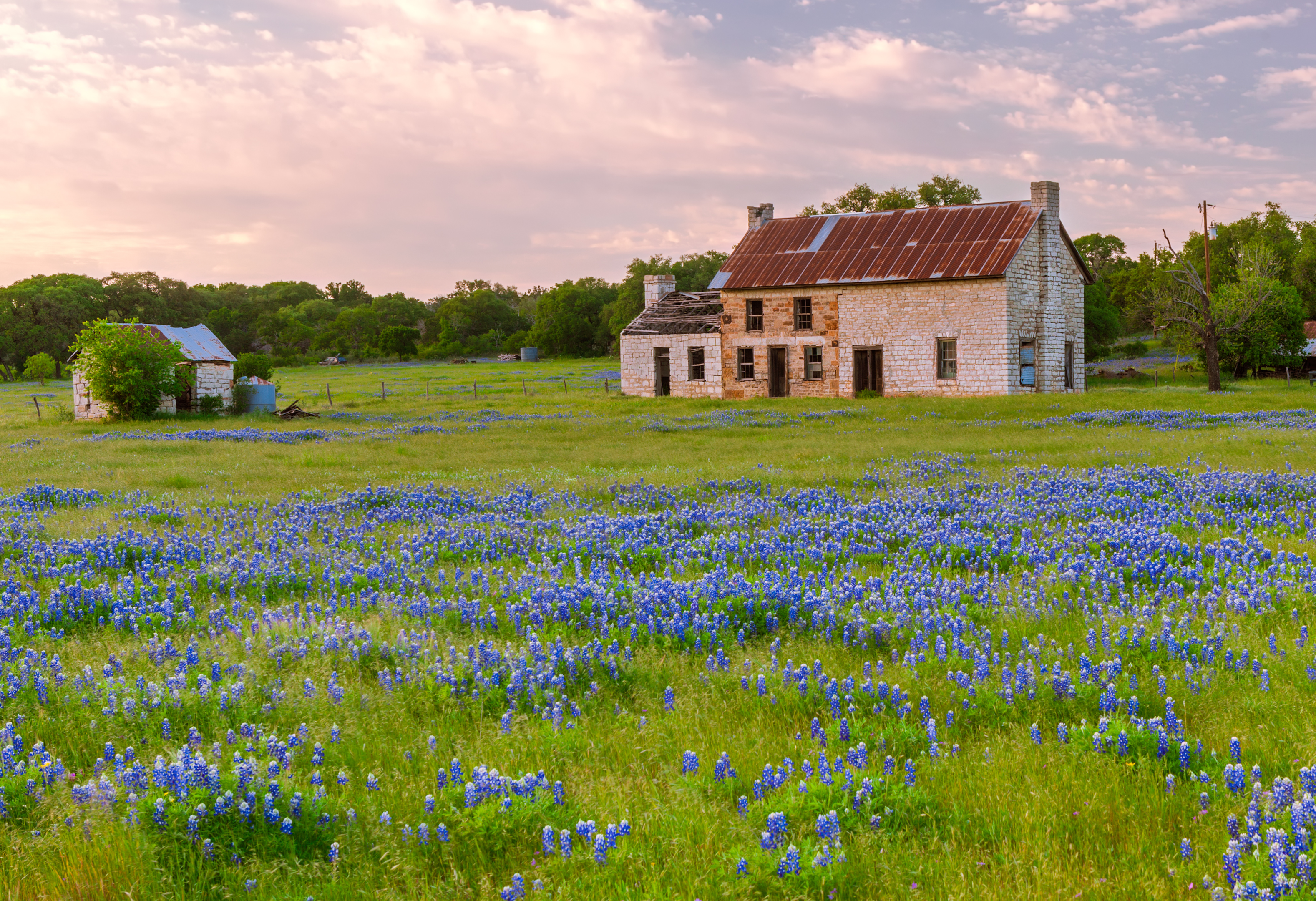 An old rustic house sits nestled in a field of bluebonnets in Marble Falls, Texas