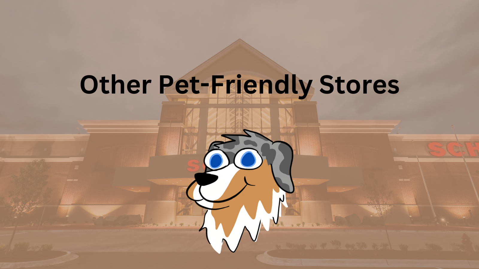 Image Text: "Other Pet-Friendly Stores"