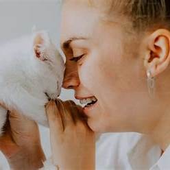 Baasje en witte kat raken elkaars neus terwijl de kat de hand likt