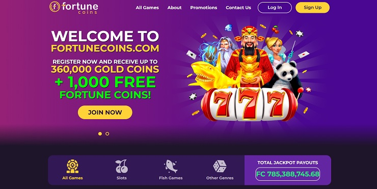 Fortune Coins Site Screenshot