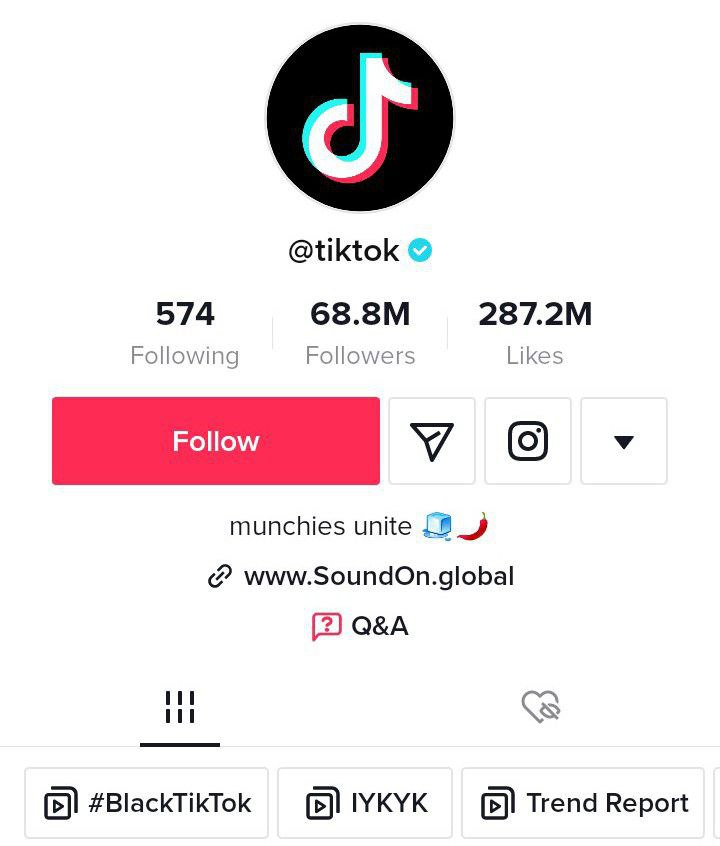 TikTok ✓