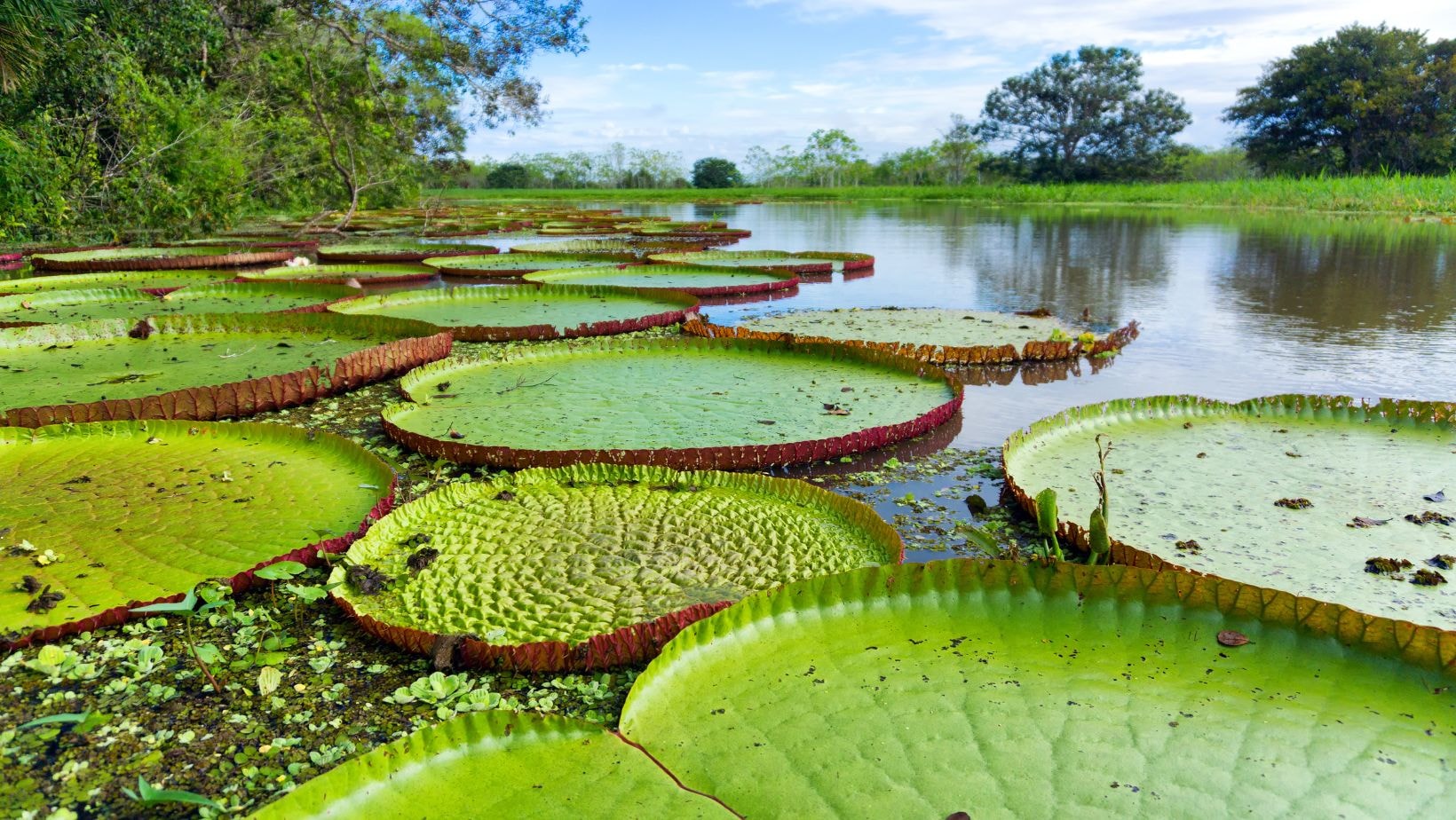 15 lugares para ir de vacaciones en Colombia 12 Lugares para visitar en colombia