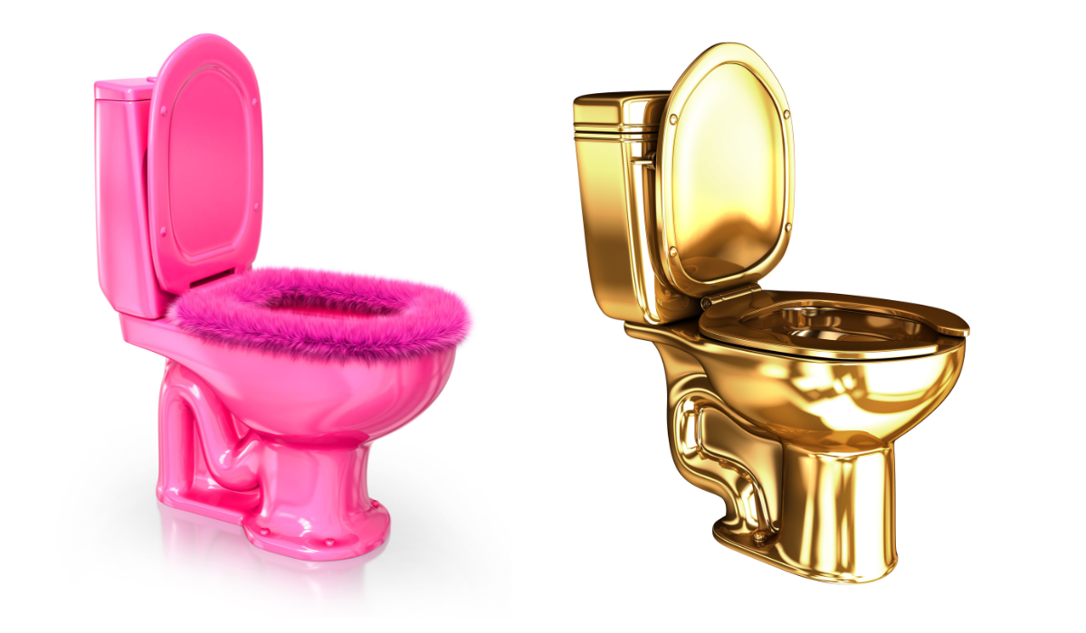 Fun toilets - pink toilet with furry seat - gold coloured toilet and seat
