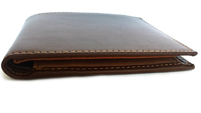 Big Skinny Men's World Bi-Fold Slim Wallet