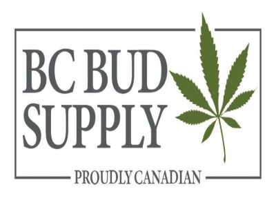 BC bud supply review
