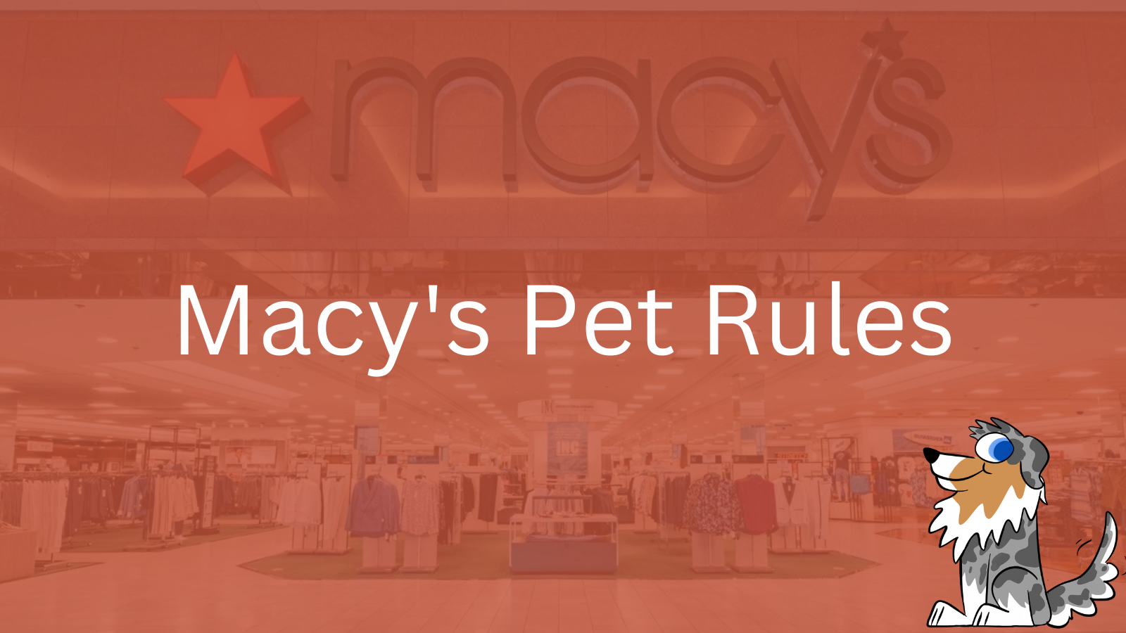 Image Text: "Macy's Pet Rules"