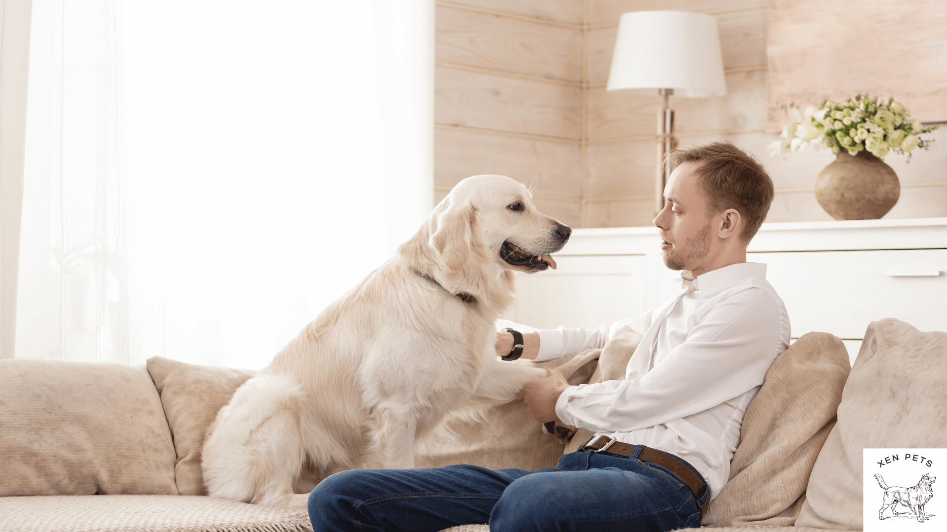 man training a dog