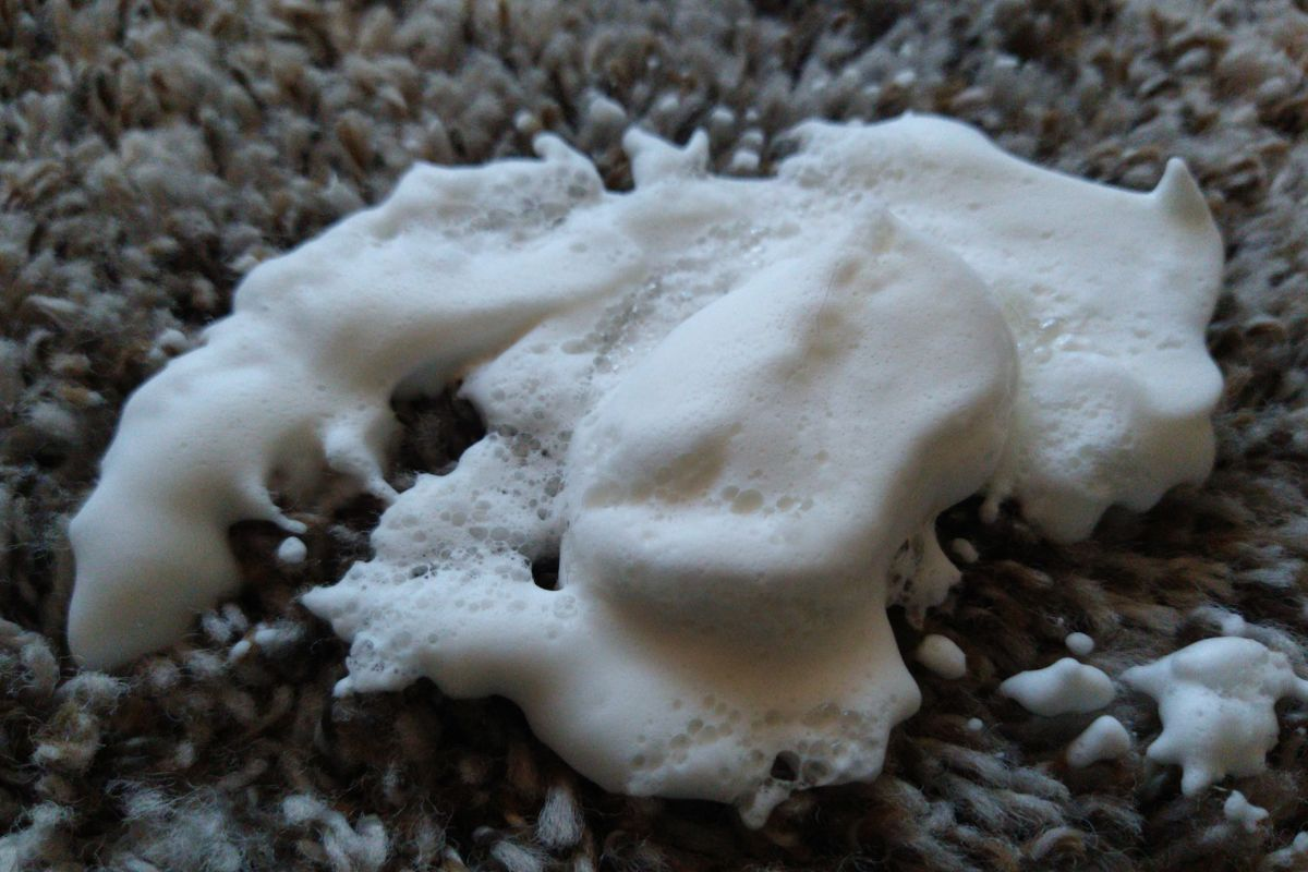 Do Carpet Deodorizers Really Work?