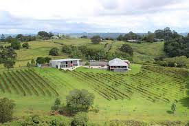 Flame Hill Vineyard and Restaurant | Montville QLD