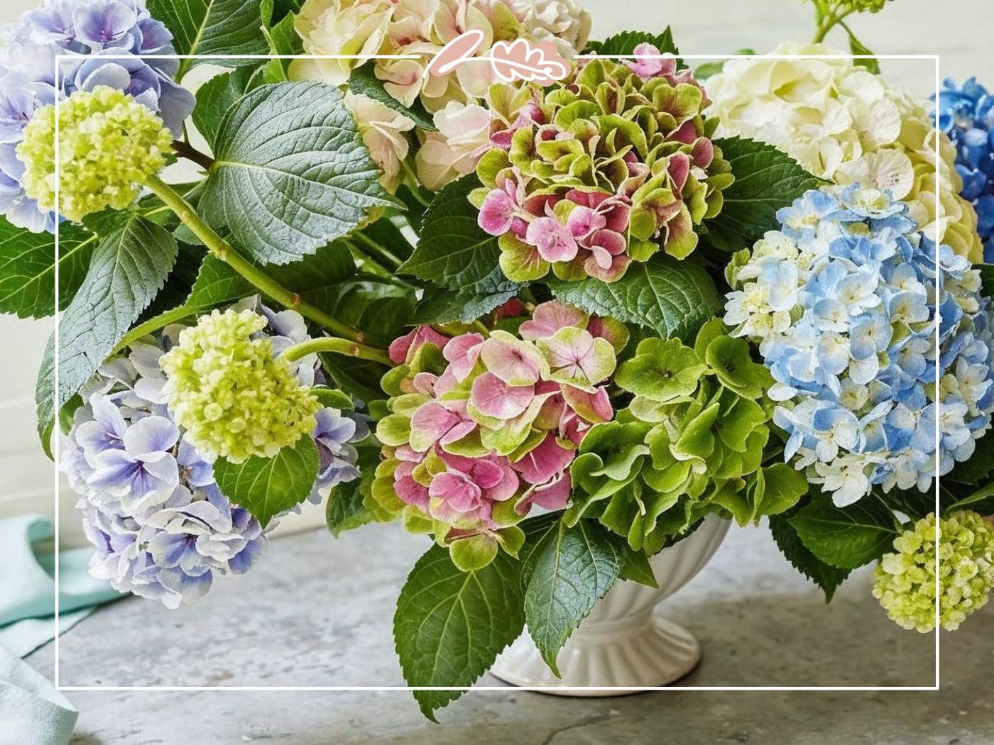 Close-up of a lush hydrangea arrangement featuring pink, green, blue, and lavender blooms with rich foliage in a ceramic vase