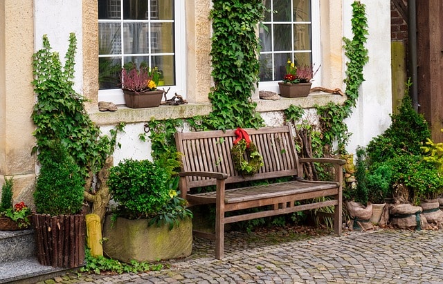 bench, facade, garden, ivy, architecture, nature, building, front yard, house