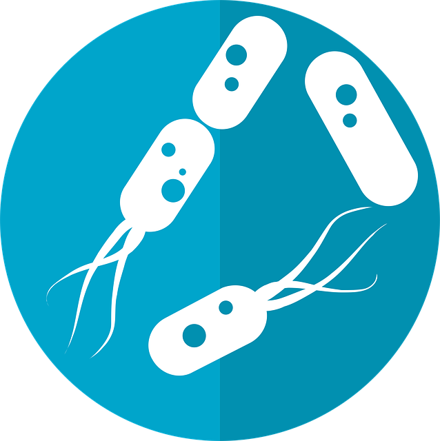 bacteria icon, microbiome icon, gut bacteria, flora, intestinal bacteria, bacterium, bacteria icon, bacteria icon, gut bacteria, gut bacteria, gut bacteria, gut bacteria, gut bacteria, bacterium, bacterium