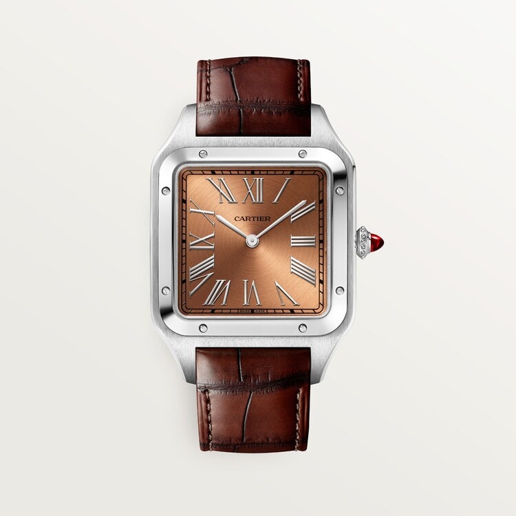 Jam Tangan Sesuai Shio: Cartier Santos-Dumont Watch WGSA0113