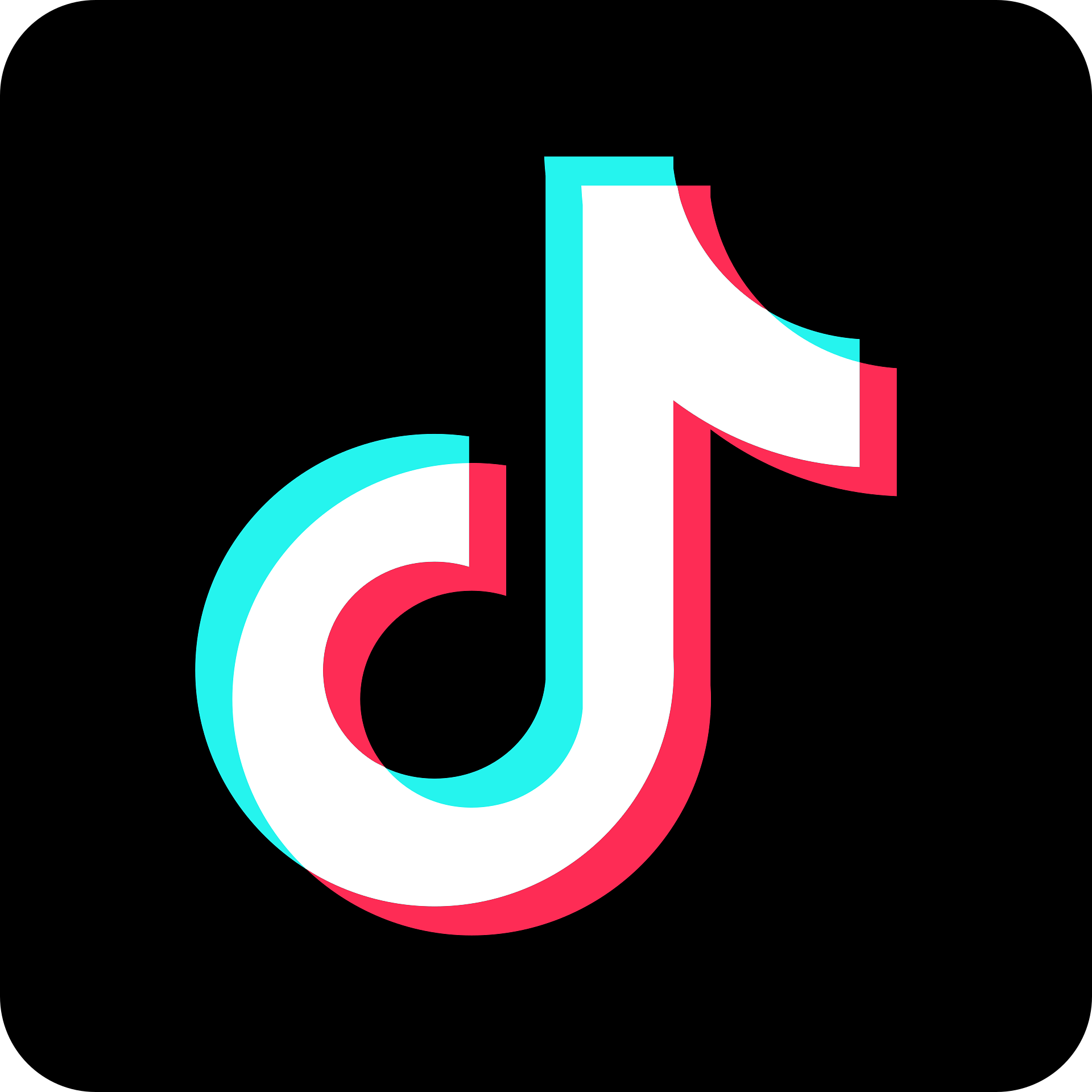 TikTok App