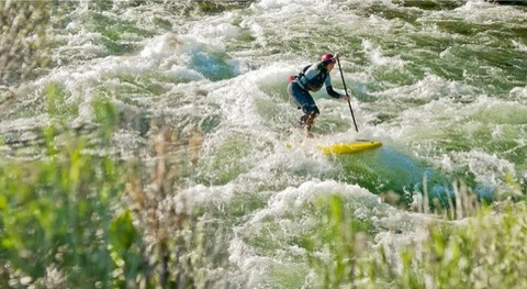 whitewater sup on a paddle board