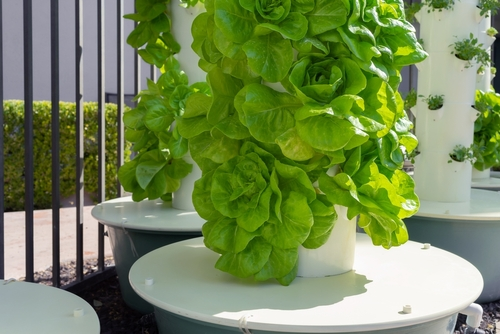 A picture of a hydroponic tower with many plants growing in it