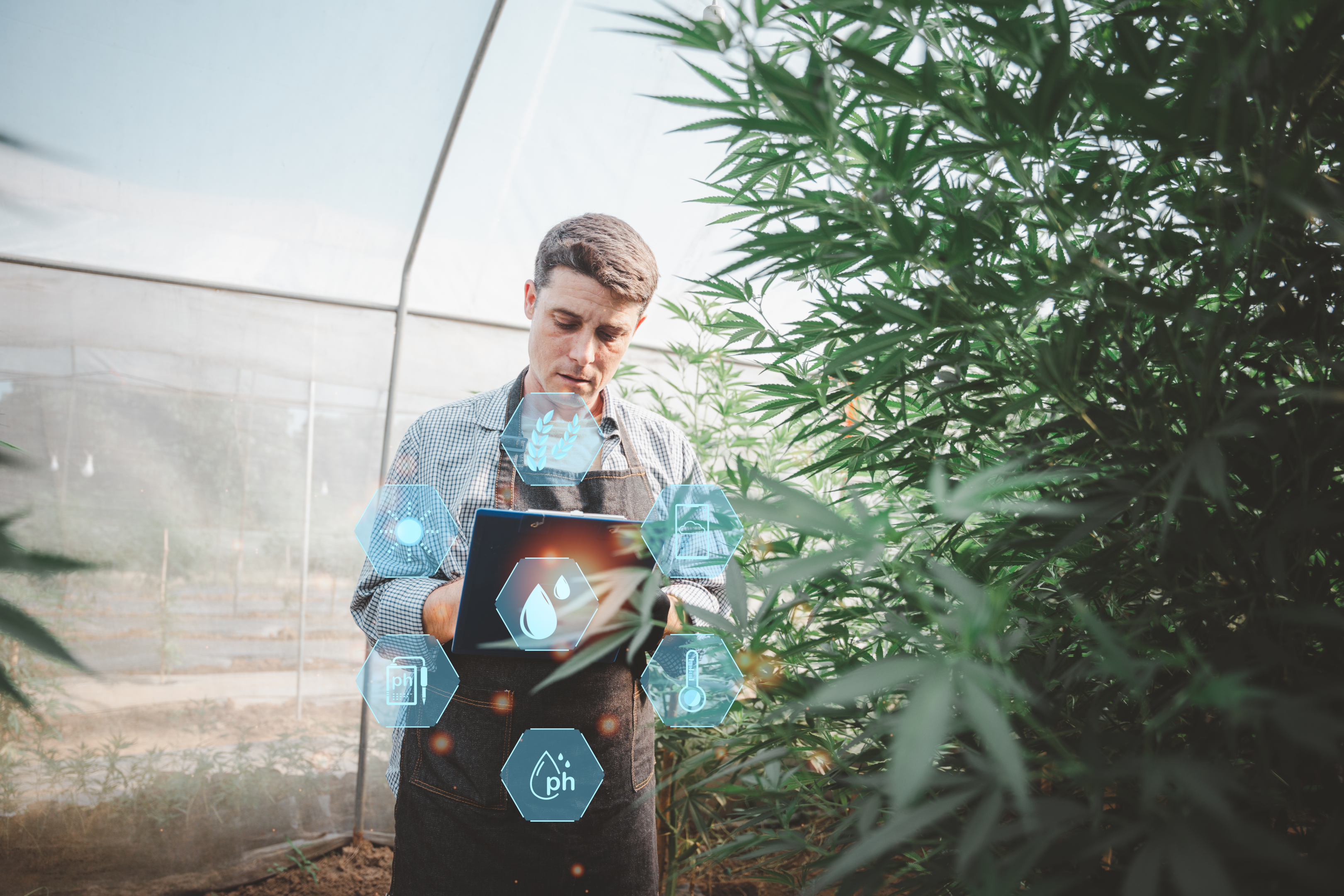 Delta 8 has grown significantly in popularity over the years, and we at 3CHI have found ways to provide the purest, most consistent product on the market.