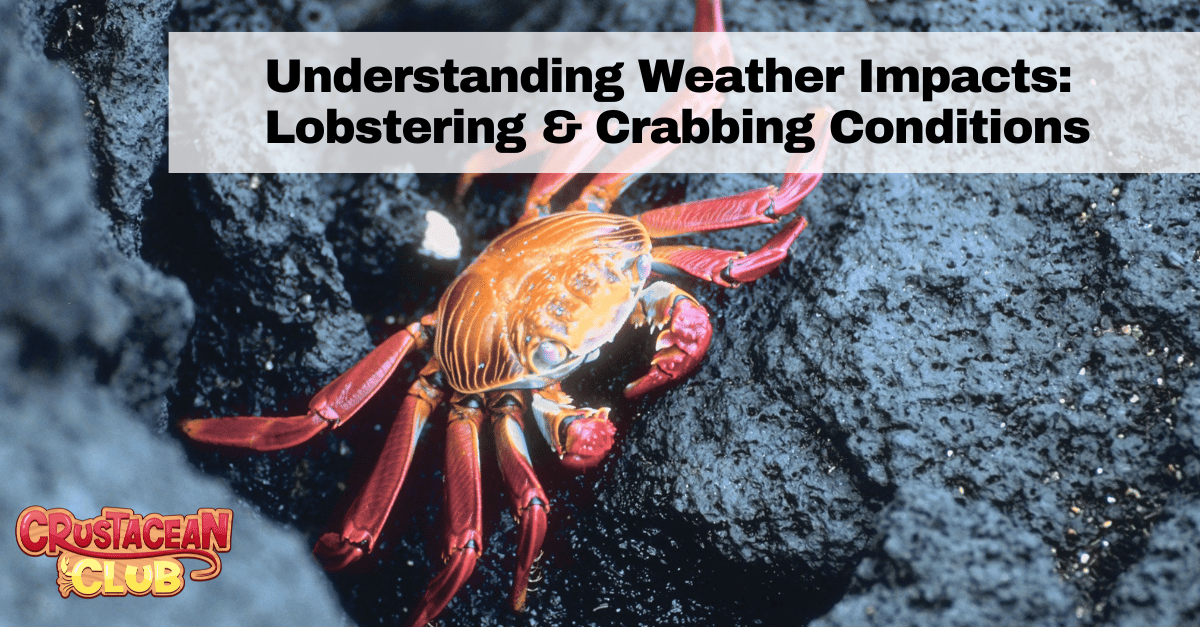 Understanding Weather Impacts: Lobstering & Crabbing Conditions 