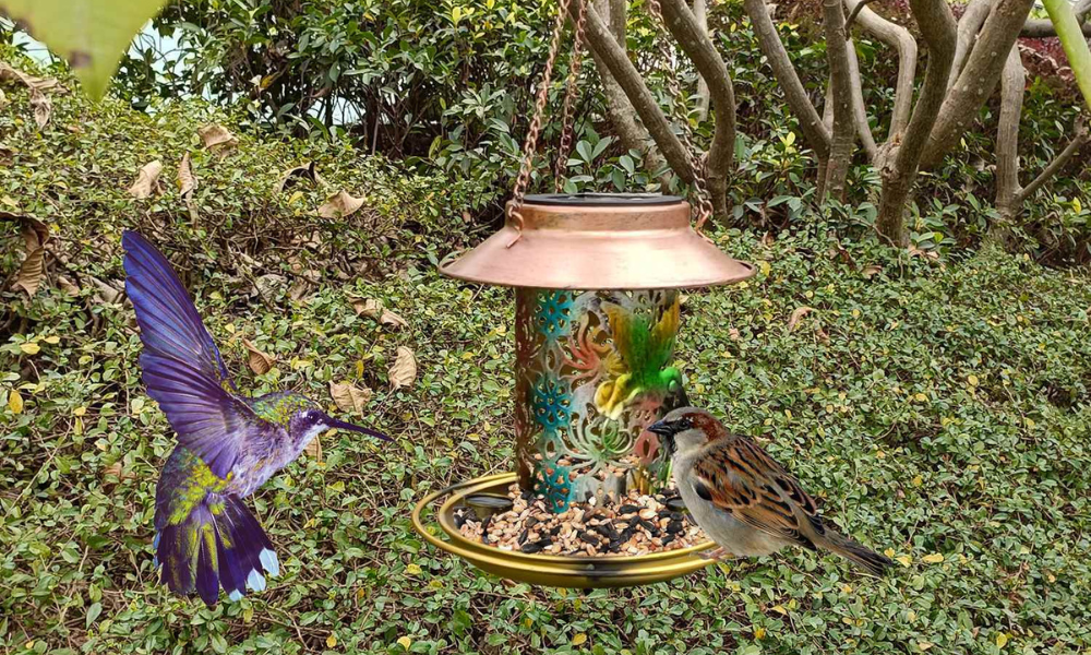 Bird Feeder