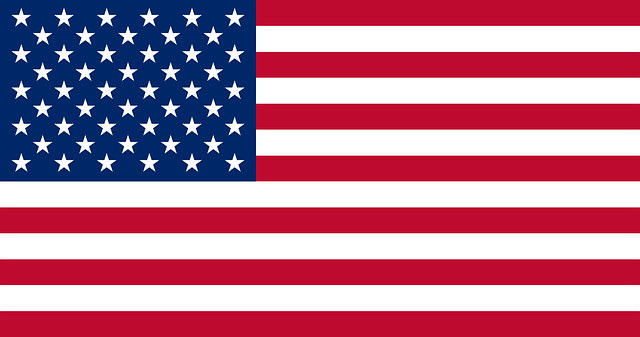 United states Flag Logo