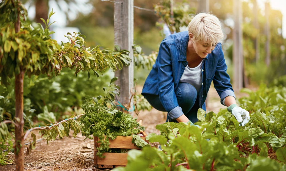 Lady workinf in the garden