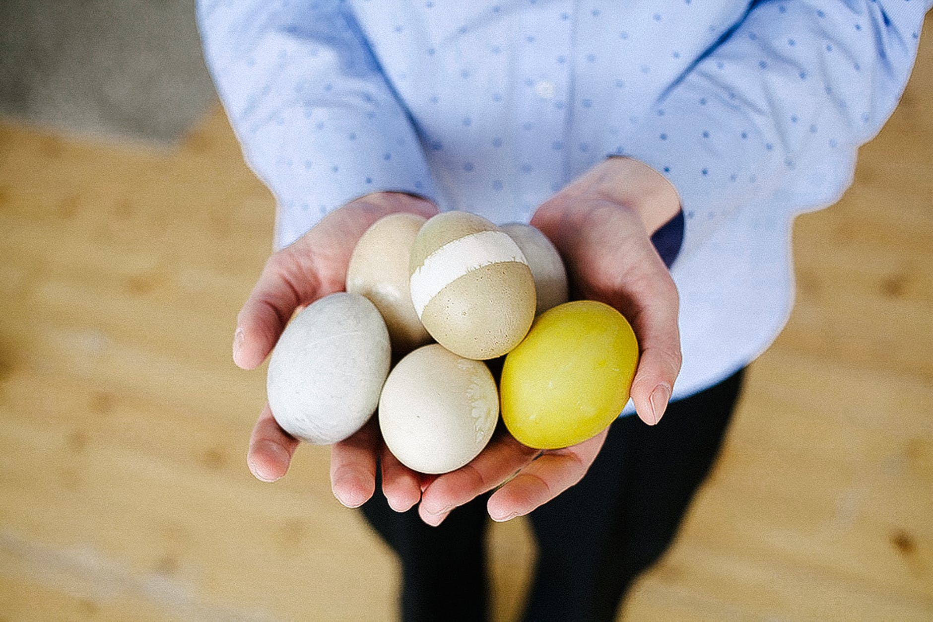 Easter egg hunt is more fun with family | Photo from Pexels Website