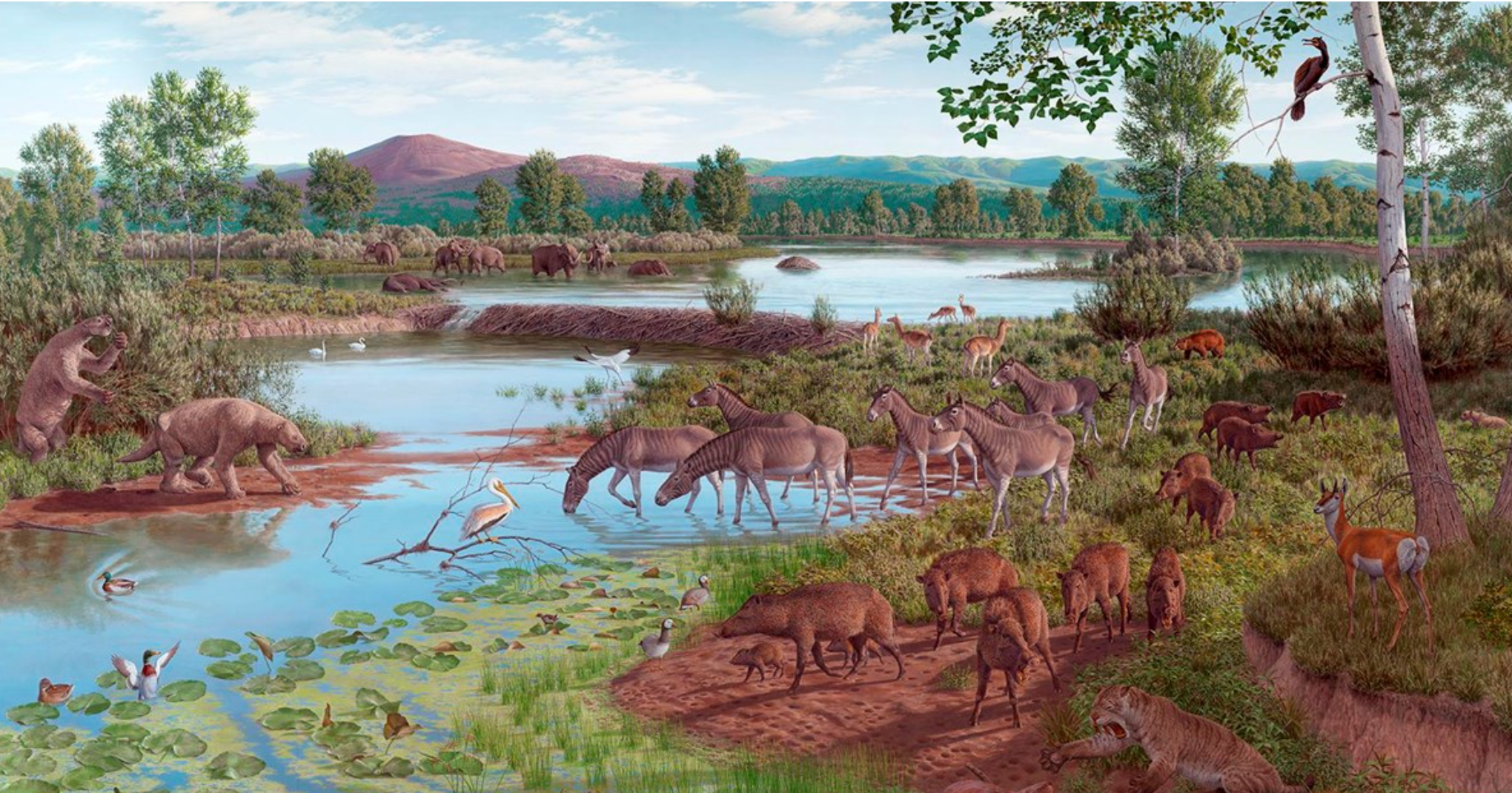 Hagerman Fossil Beds National Monument