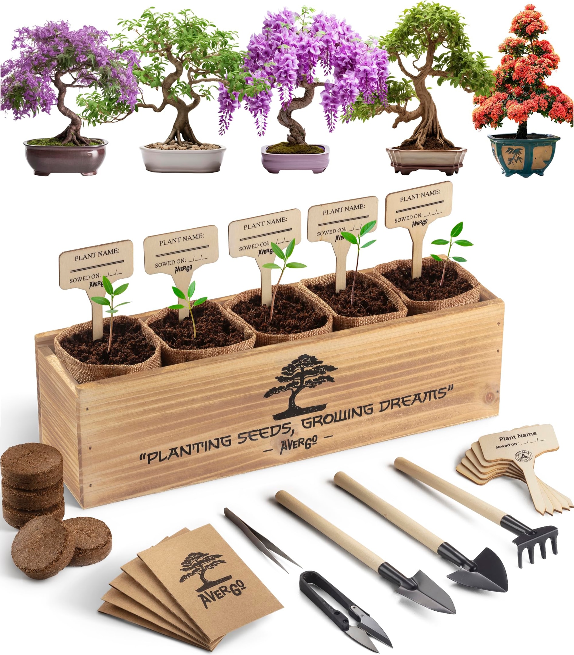 AVERGO Bonsai Starter Kit