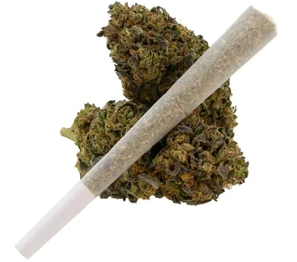THCA Pre Rolls vs. THCA Flower: Which is Better?