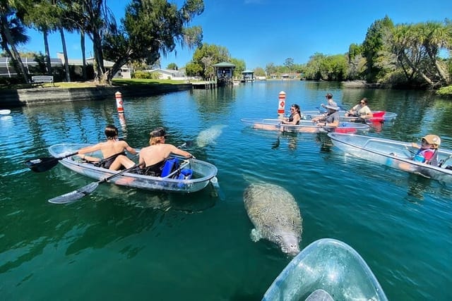 Wildlife and Nature Kayaking Tours, Florida