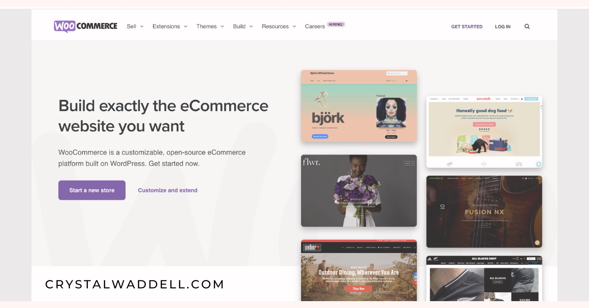 Utilizing WooCommerce requires a moderate to high level of knowledge of Wordpress development.