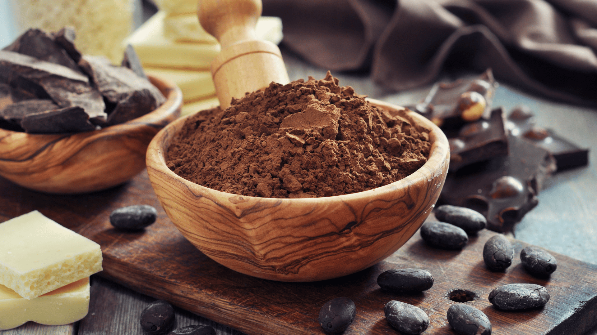 cocoa powder is toxic to dogs