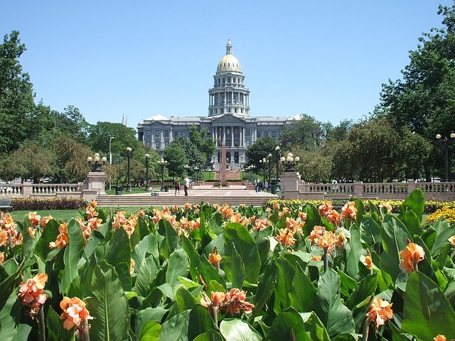 Denver Area Agency for Aging Adults