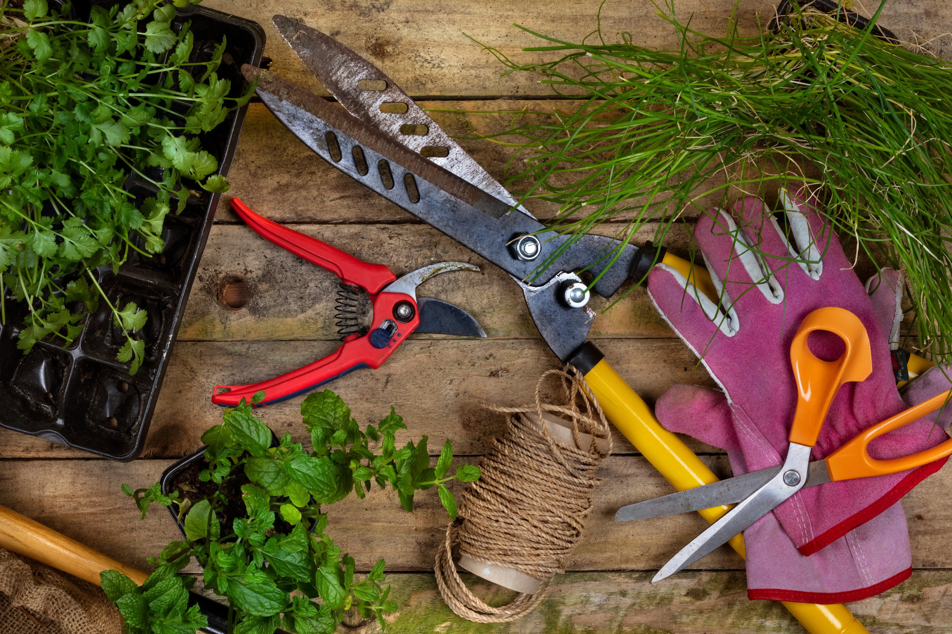 Gardening-Cutting-tools