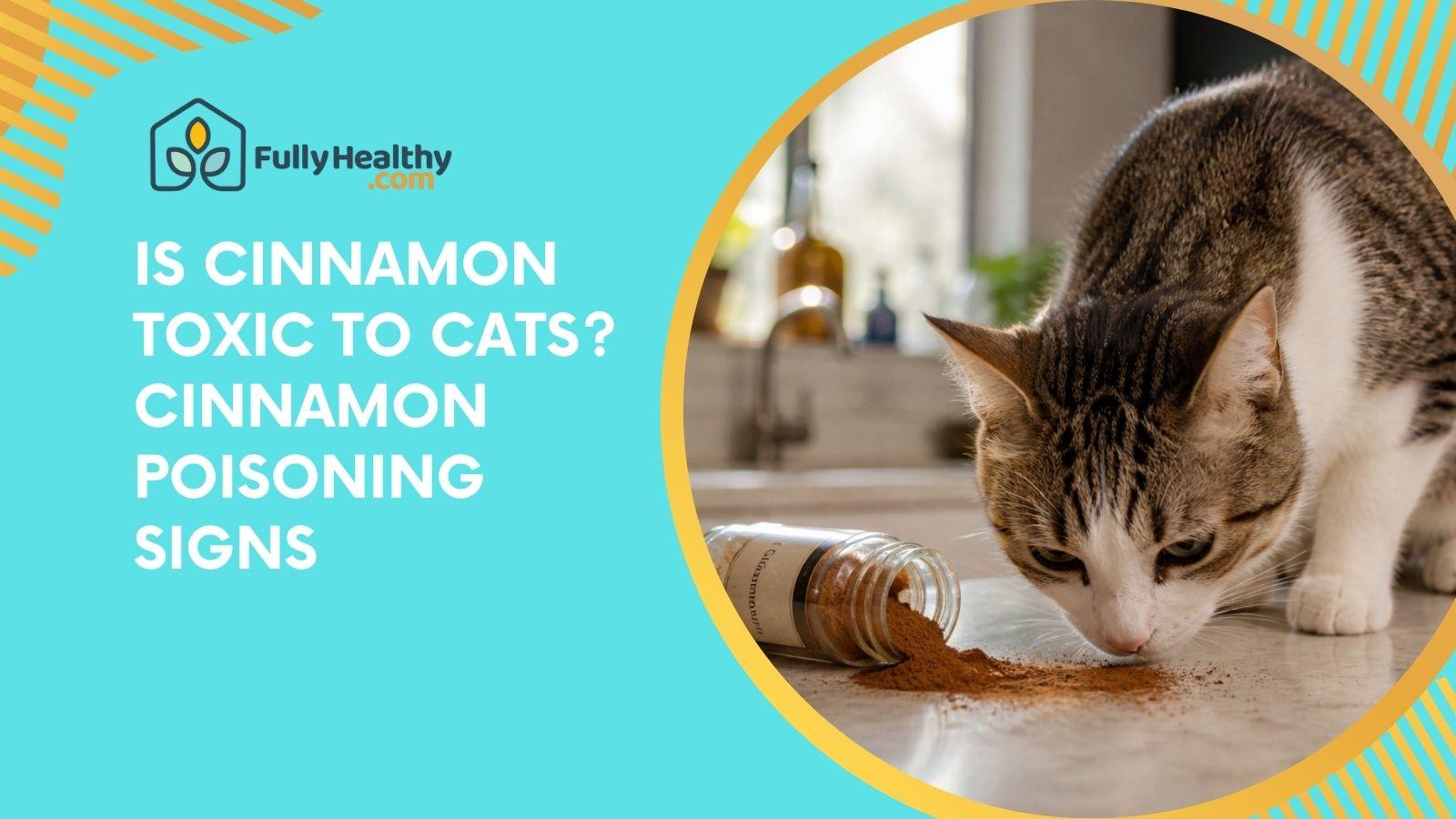 Is Cinnamon Toxic To Cats? Cinnamon Poisoning Signs