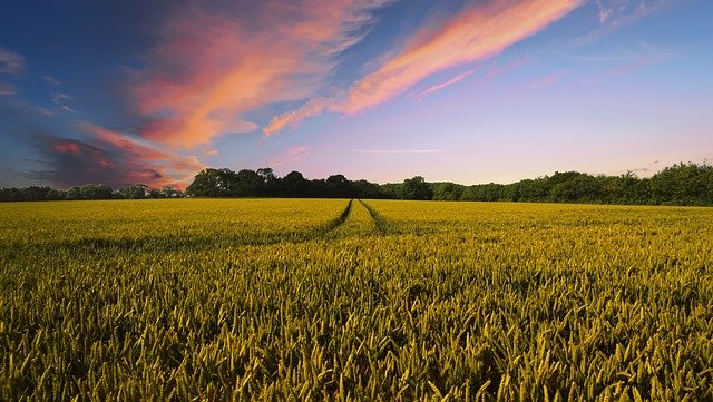 countryside, harvest, agriculture, financing programs