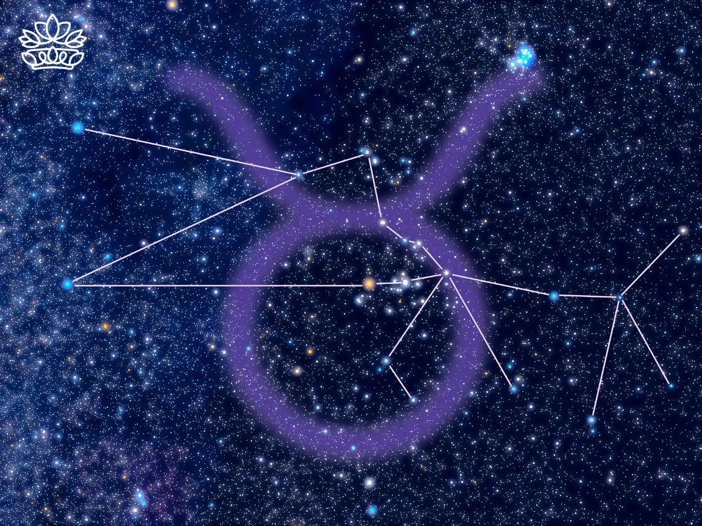 The Taurus constellation highlighted in a star-filled sky with the Taurus symbol. Fabulous Flowers and Gifts. Taurus Flowers & Gifts Collection.