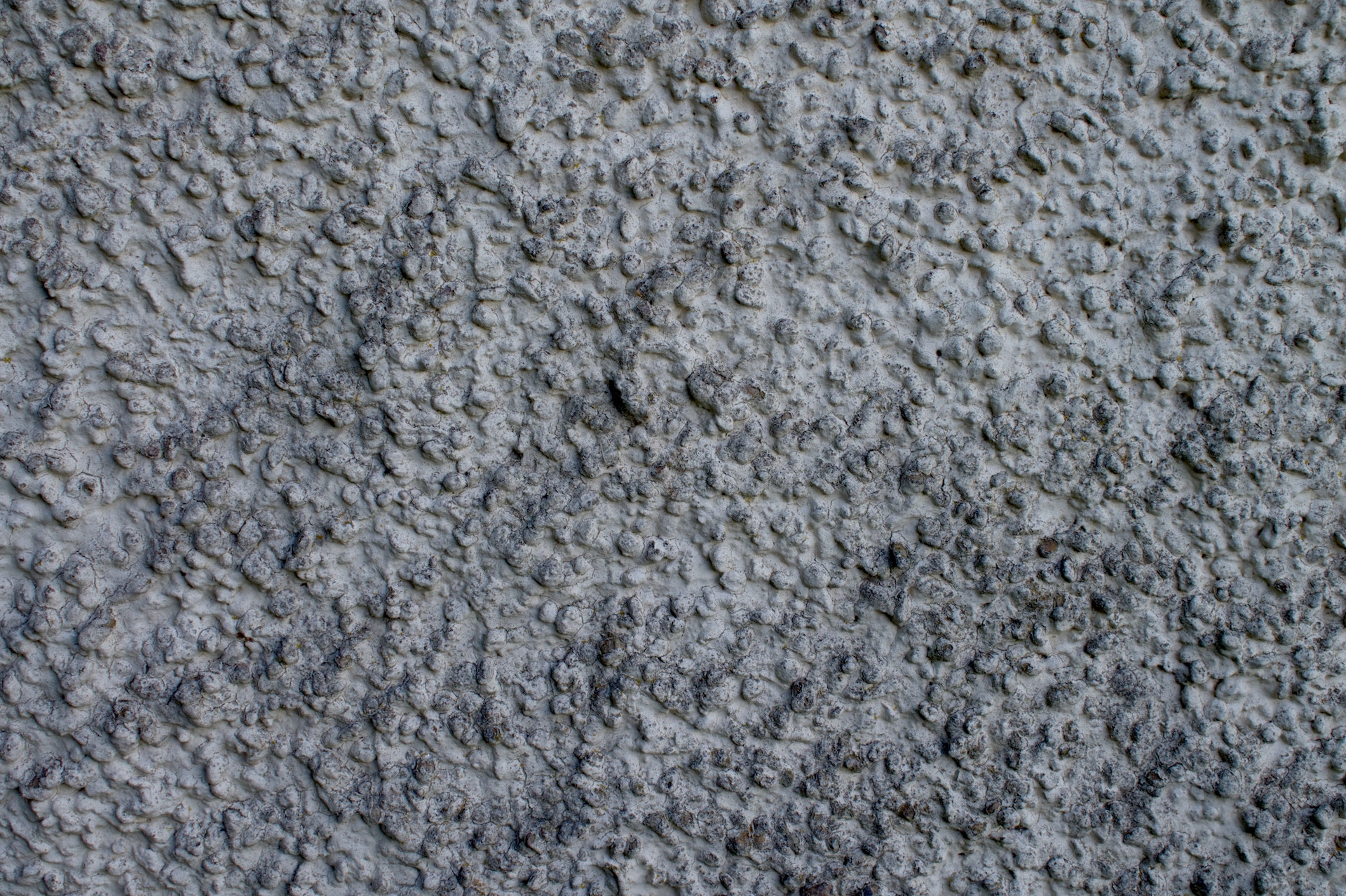 A close-up image of cement render on a house, demonstrating what is rendering on a house