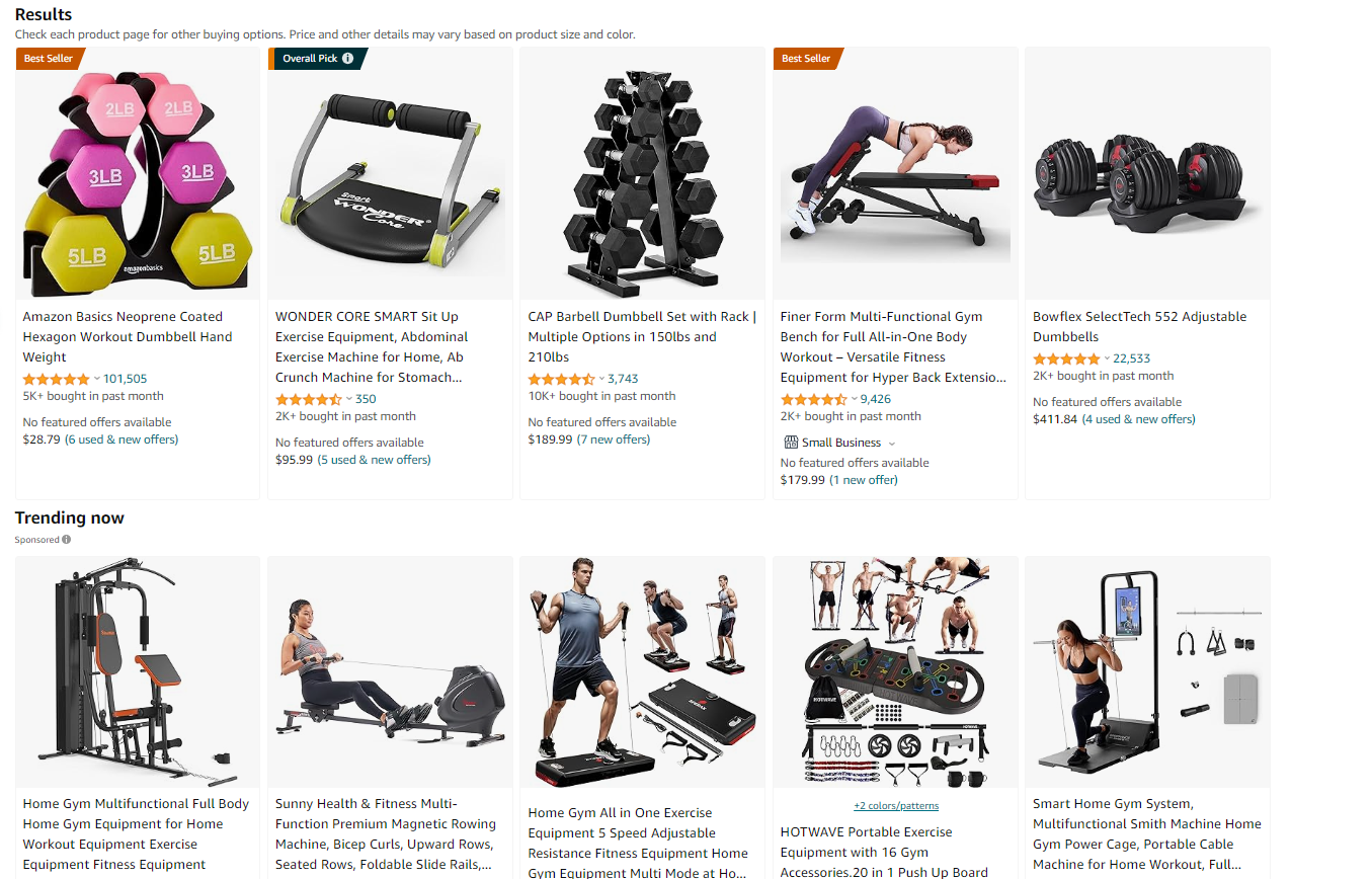 high ticket dropshipping store for fitness equipment