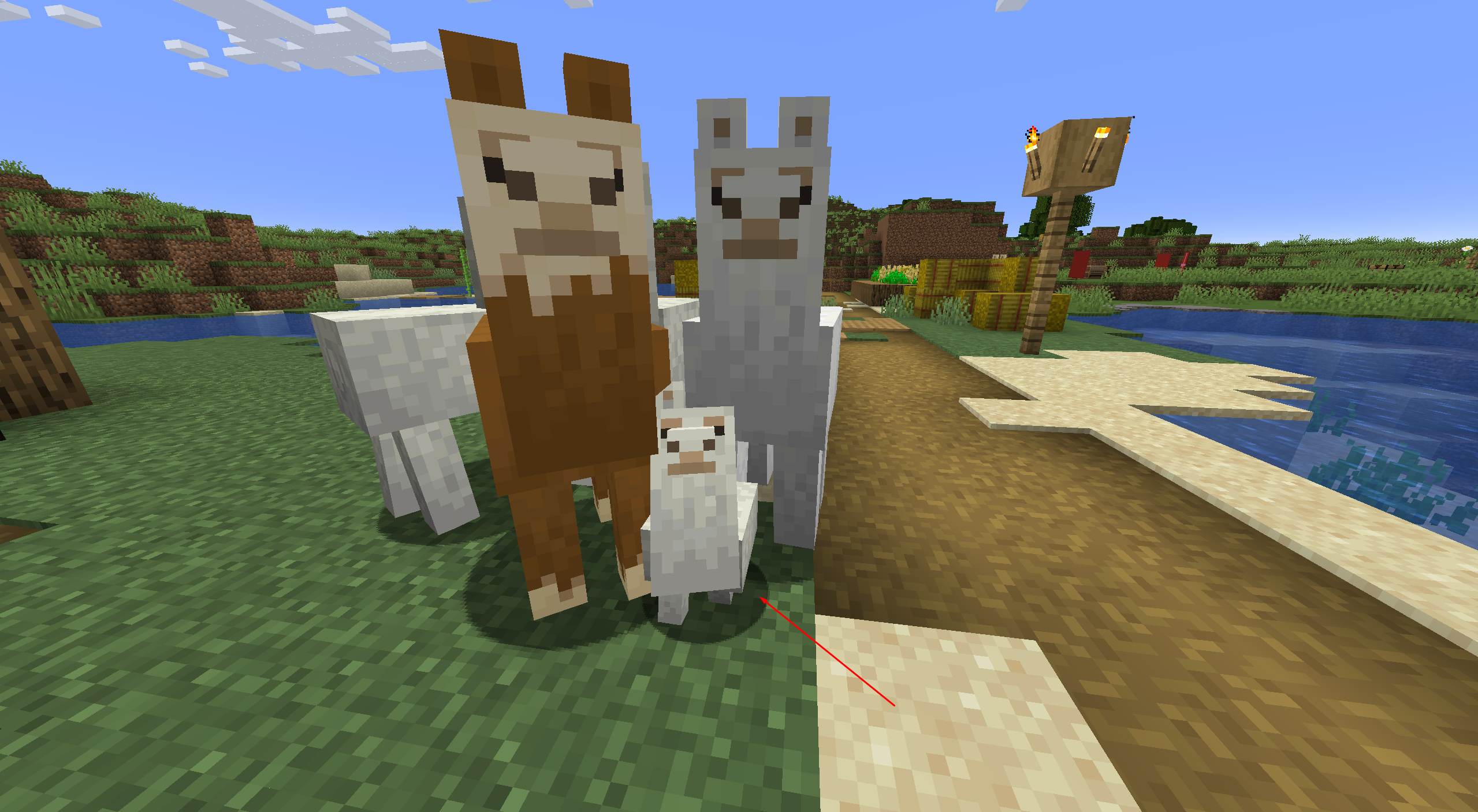 What Do Llamas Eat In Minecraft?