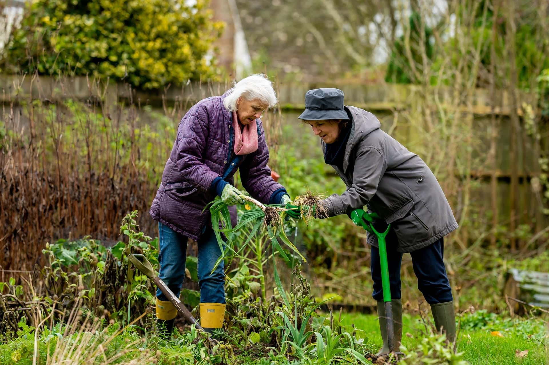 Incorporating Balance Exercises Into Gardening For Seniors