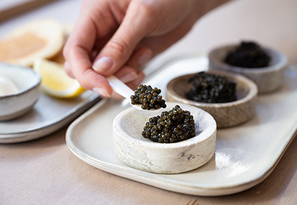 Caviar on a bed of ice