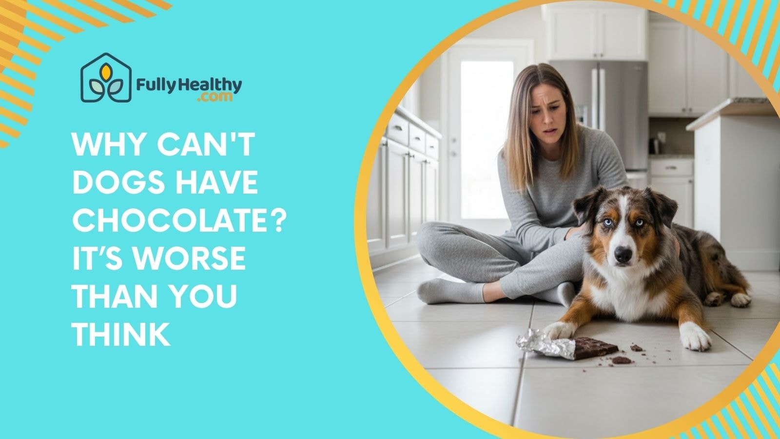 Why Can't Dogs Have Chocolate? It’s Worse Than You Think