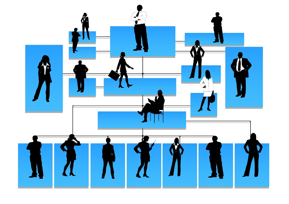 flat org chart with project manager