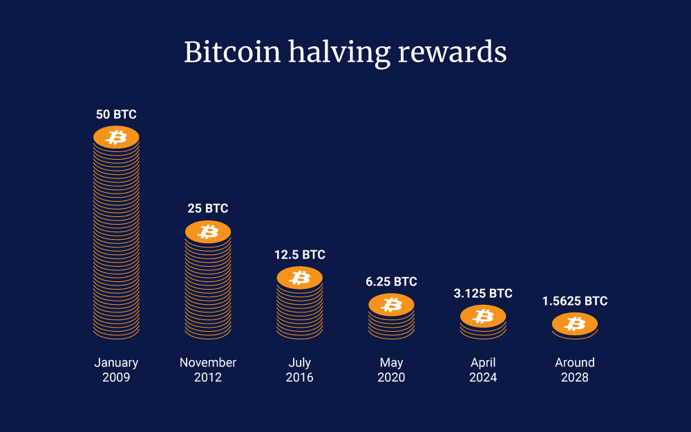 Timeline infographic comparing historical bitcoin halvings and their effects on the bitcoin market.